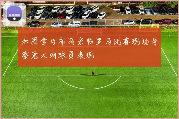 加图索与布冯亲临罗马比赛现场考察意大利球员表现