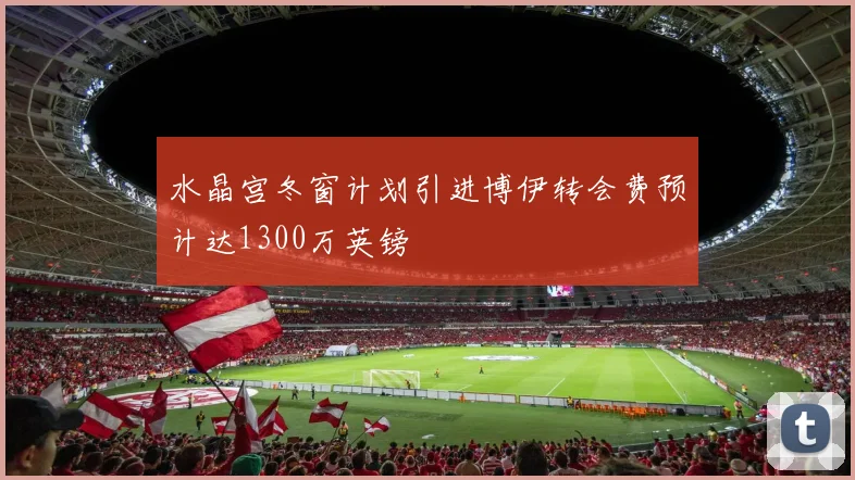 水晶宫冬窗计划引进博伊转会费预计达1300万英镑