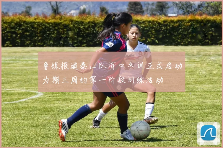 鲁媒报道泰山队海口冬训正式启动为期三周的第一阶段训练活动