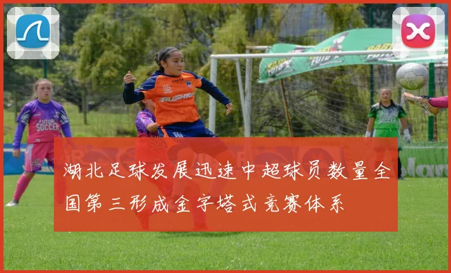 湖北足球发展迅速中超球员数量全国第三形成金字塔式竞赛体系