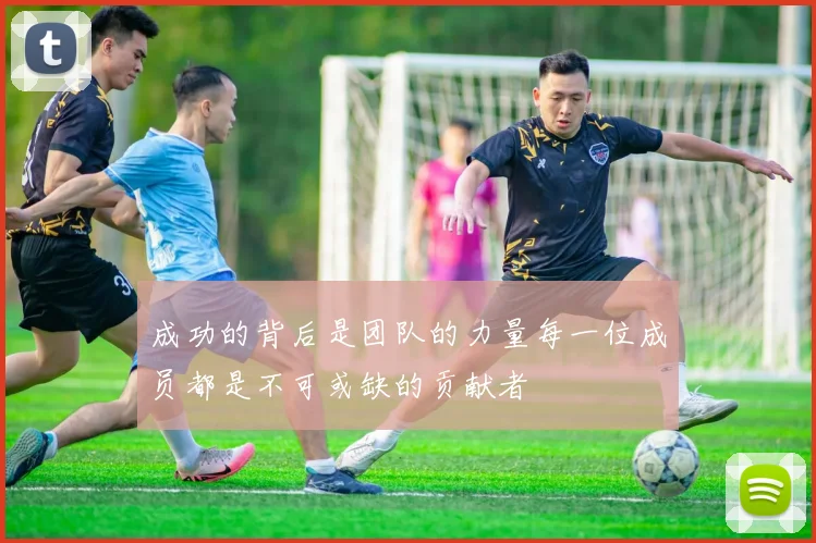 成功的背后是团队的力量每一位成员都是不可或缺的贡献者
